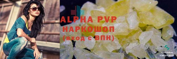 ПСИЛОЦИБИНОВЫЕ ГРИБЫ Горно-Алтайск